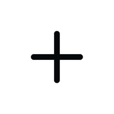 Zoom Icon